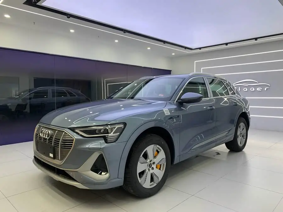 Audi e-tron 2021 50 quattro Luxury