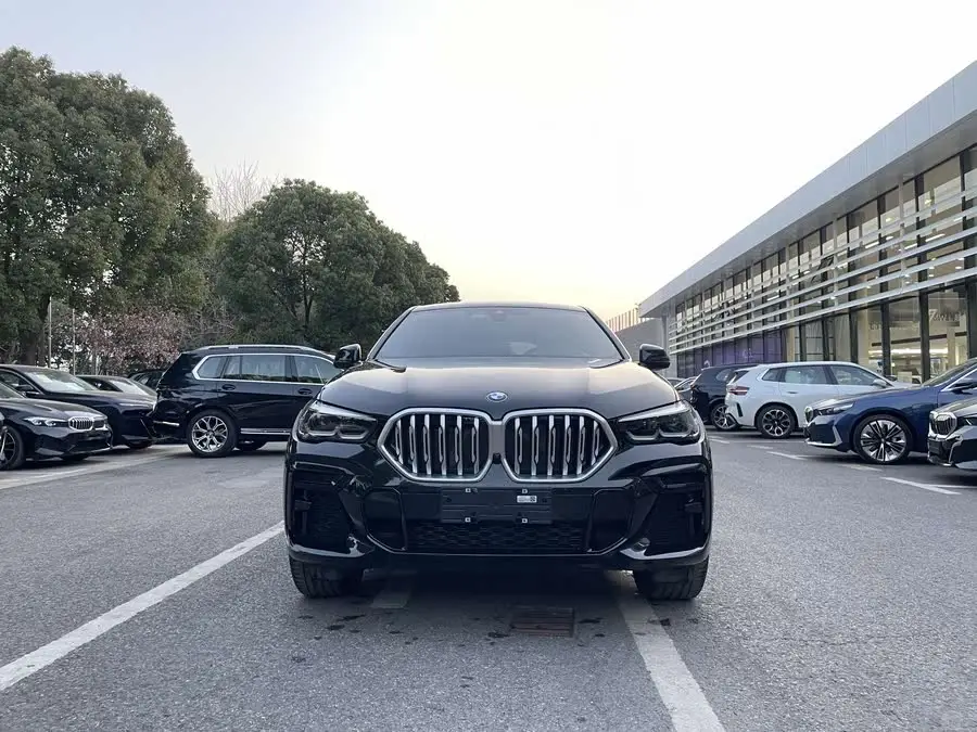 BMW X6 2021 xDrive30i M Sport Package