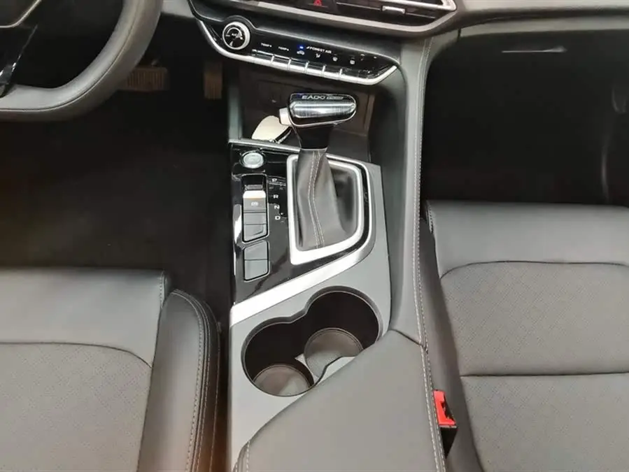 Yidong 2022 Model PLUS 1.6L GDI CVT Elite