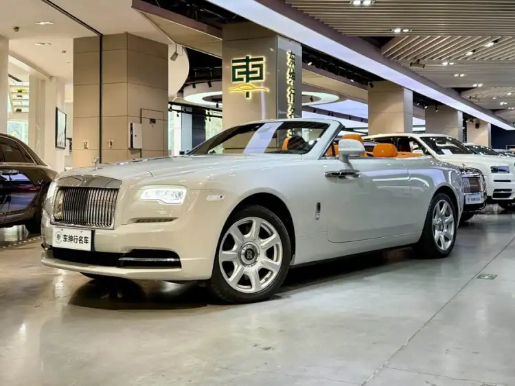 Yuanyang 2018 6.6T Standard Version