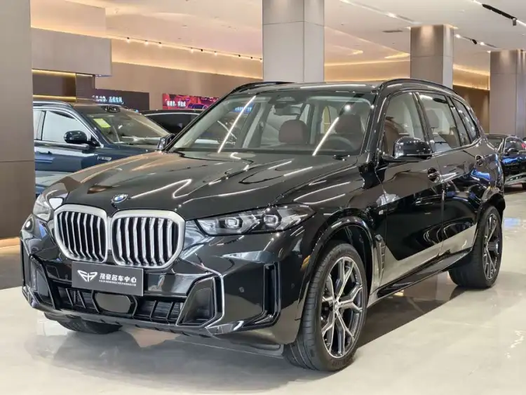 BMW X5 2023 xDrive 30Li M Sport Night Package