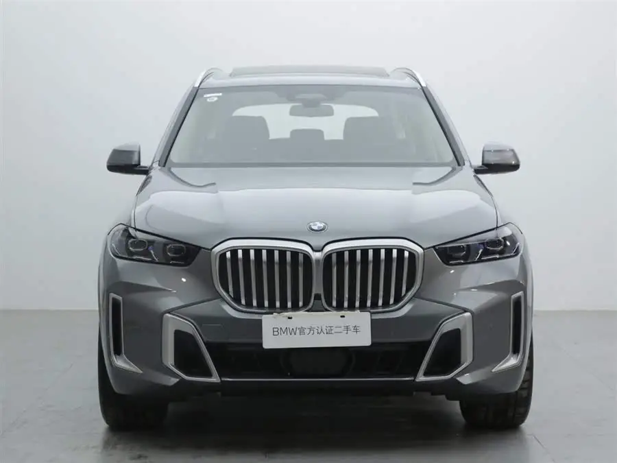 BMW X5 2023 xDrive 30Li M Sport Package
