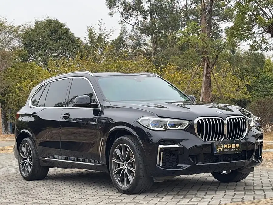 BMW X5 2022 Model Facelift xDrive 30Li M Sport Package
