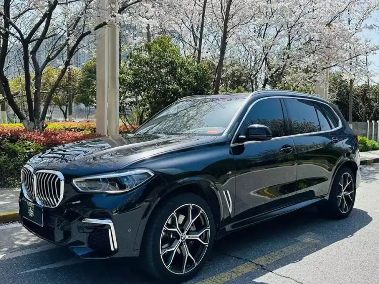 BMW X5 2023 xDrive 40Li M Sport Package