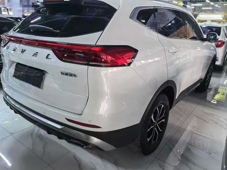 Haval H6 2023 National Trend Edition 1.5T Automatic Urban Version