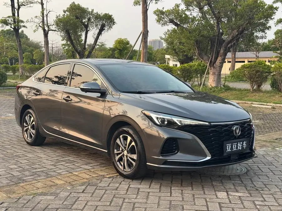 Yidong 2022 Plus Blue Whale NE 1.4T GDI DCT Flagship Version