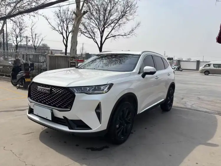 Haval H6 2021 Model Third Generation 2.0T Automatic Two-Wheel Drive Max