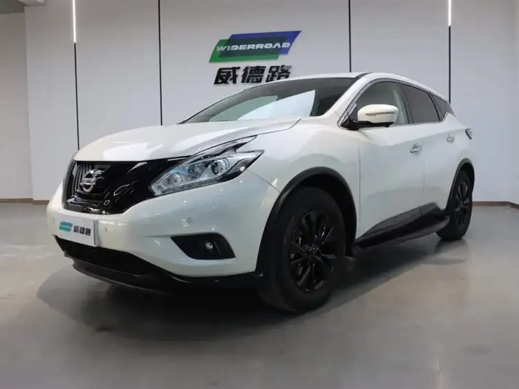 LuoLan 2021 2.5L XL Two-Wheel Drive Intelligent Luxury Edition