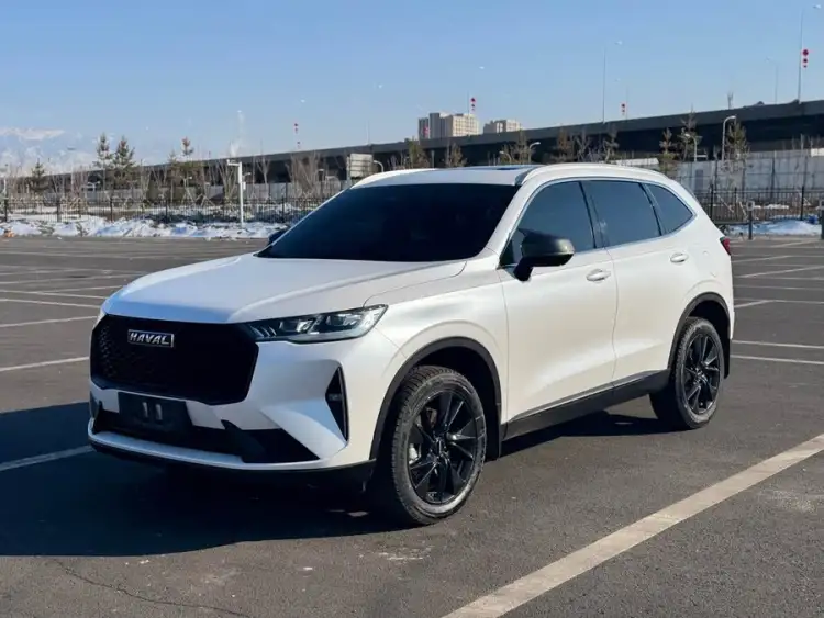 Haval H6 2021 Model Third Generation 2.0T Automatic Two-Wheel Drive Max