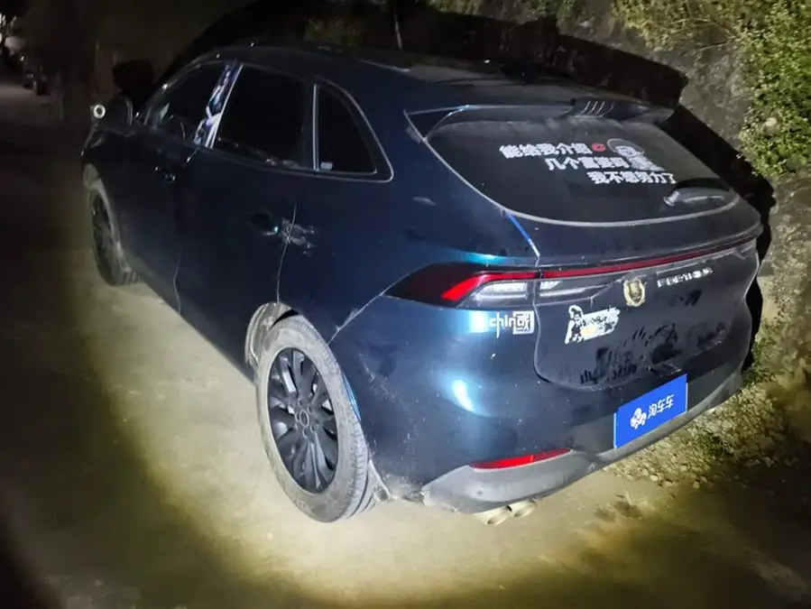 Fengxing T5 EVO 2021 1.5TD DCT Diamond Edition