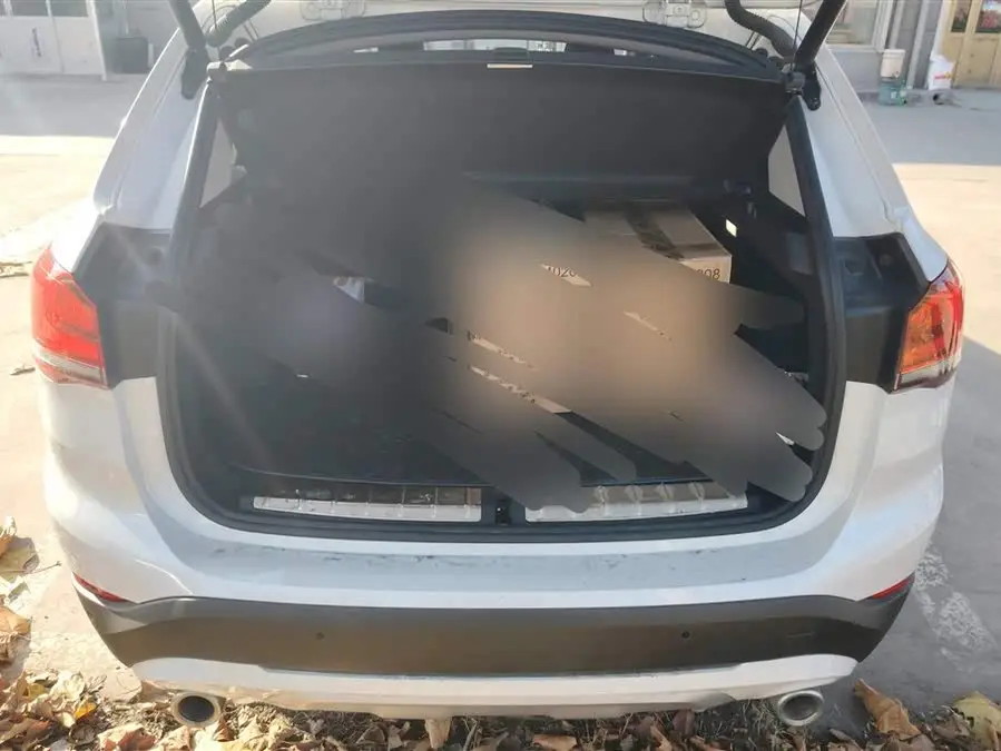 BMW X1 2021 xDrive25Li Luxury Edition