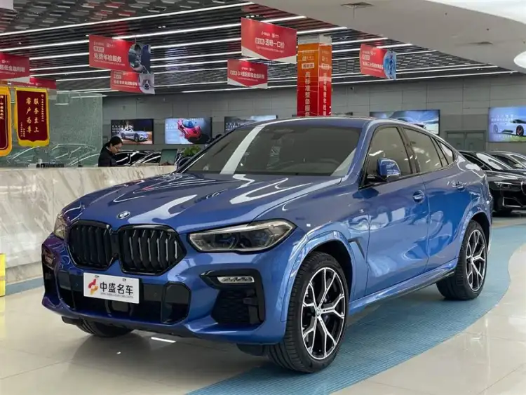 BMW X6 2020 xDrive40i Luxury M Sport Package
