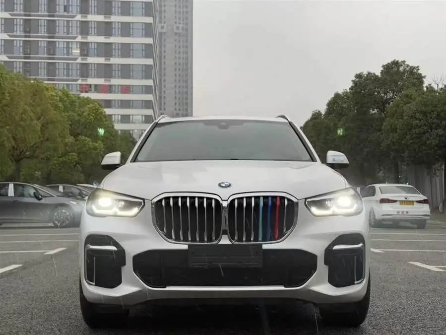 BMW X5 2022 xDrive 30Li M Sport Package