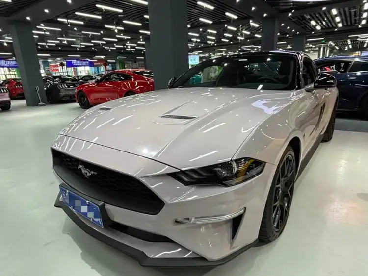 2021 Mustang 2.3T EcoBoost Black Shadow Special Edition