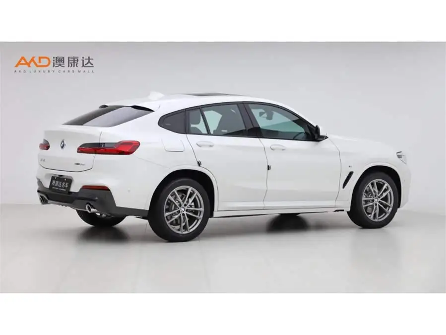 بي إم دبليو X4 2020 xDrive25i حزمة M الرياضية