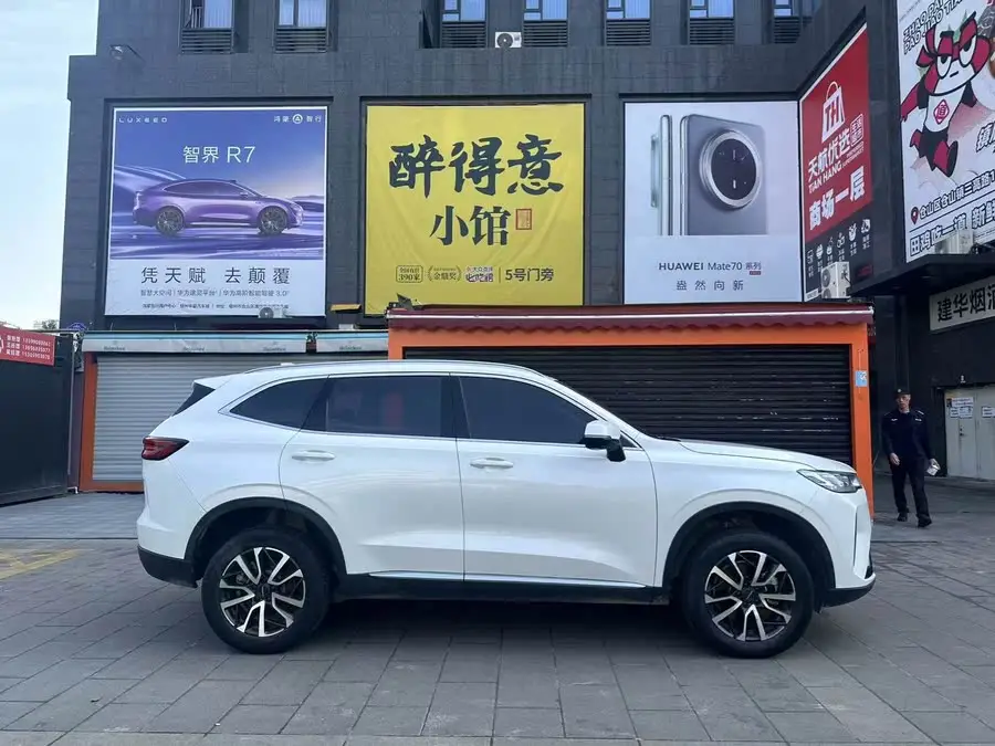 هافال H6 طراز 2021 الجيل الثالث 1.5T دفع أوتوماتيكي ثنائي