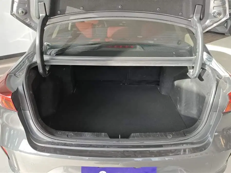 Yidong 2021 Plus Blue Whale NE 1.4T GDI DCT Premium