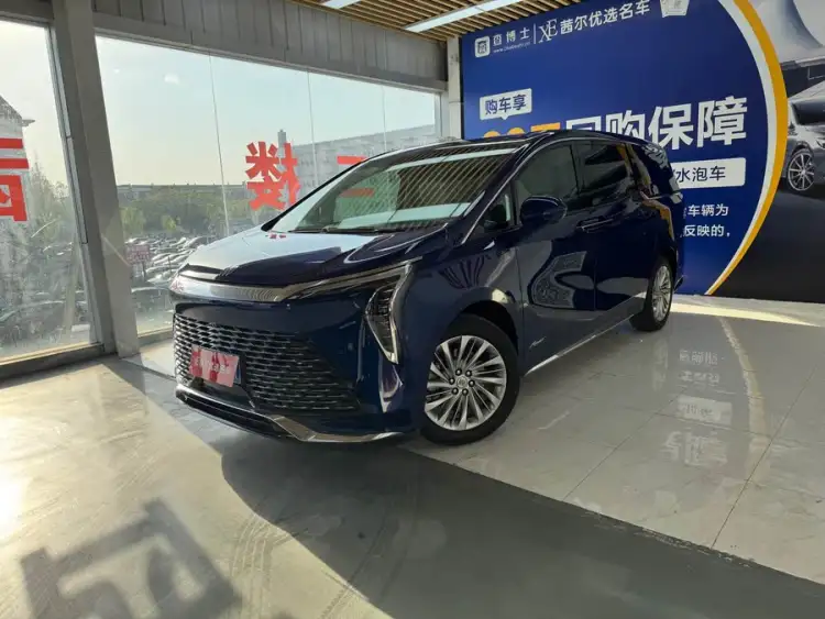 Century 2023 2.0T Six-Seater Yunshe Edition