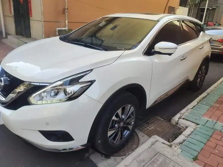 LuoLan 2021 2.5L XL Plus Two-Wheel Drive Smart Link Leading Edition