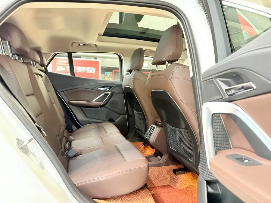 BMW X2 (Imported) 2024 Model sDrive25i M Sport Package