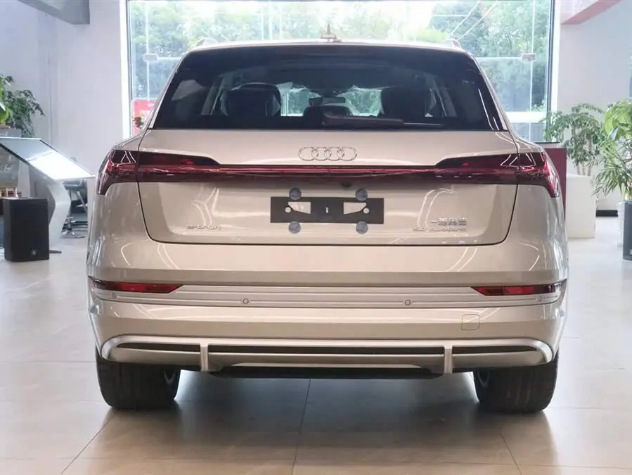 Audi e-tron 2021 50 quattro Selection