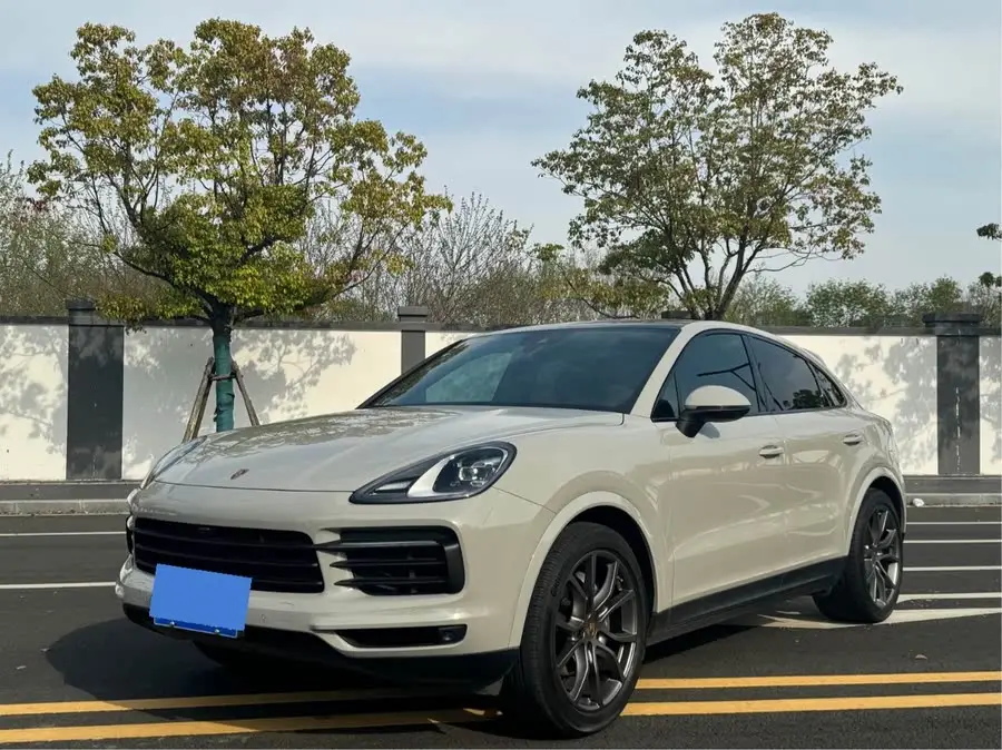 2022 Cayenne 3.0T Platinum Edition