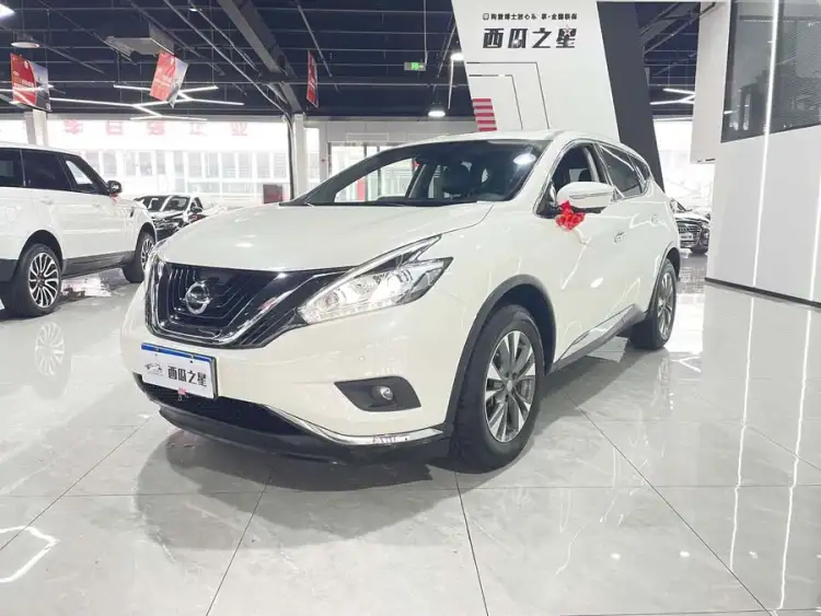 LuoLan 2021 2.5L XL Two-Wheel Drive Intelligent Luxury Edition