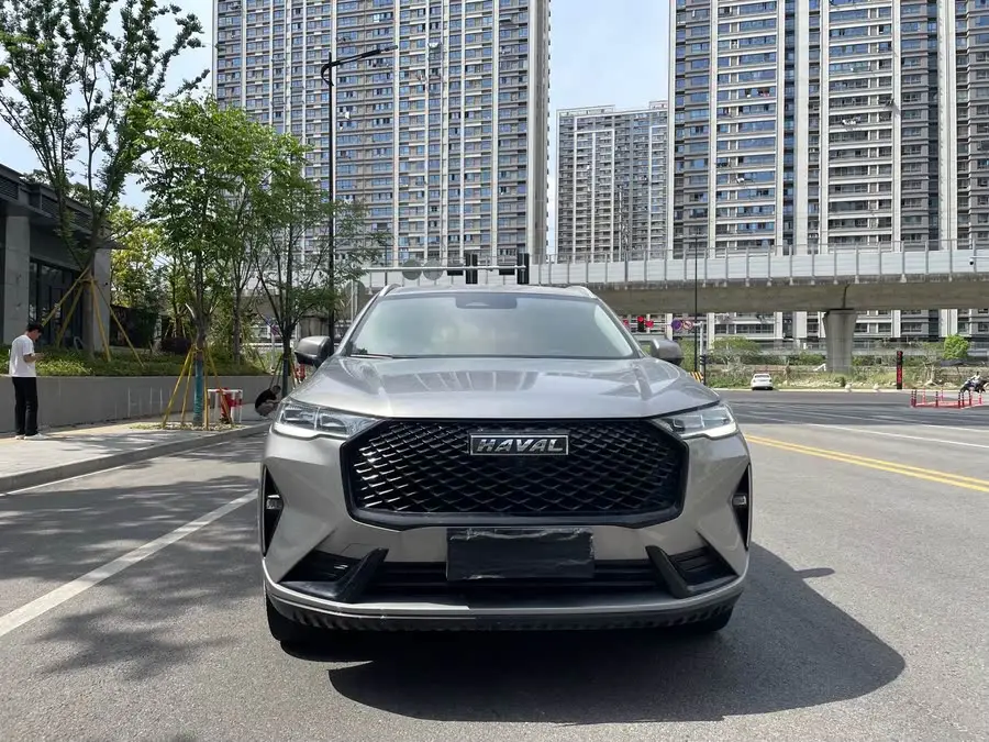 Haval H6 2021 Model Third Generation 2.0T Automatic Two-Wheel Drive Max