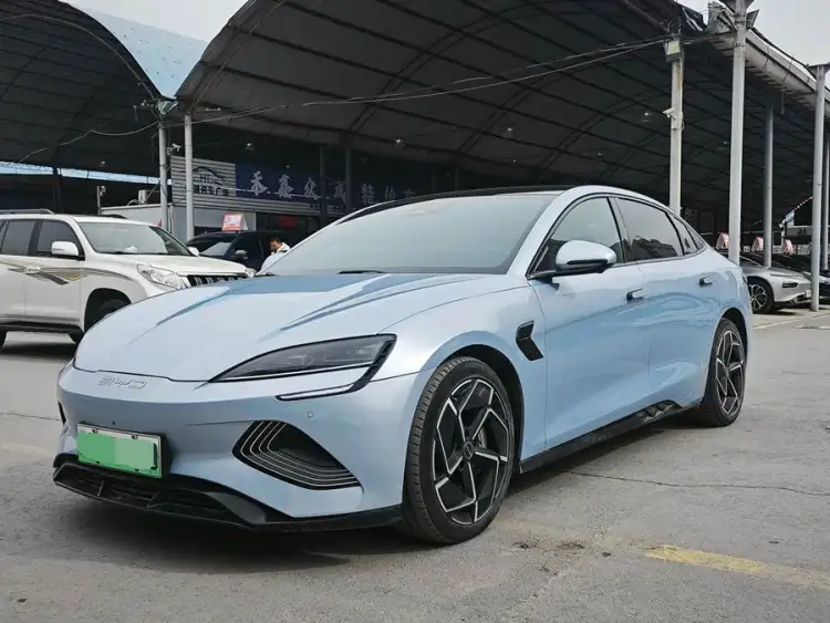 Sealion 2022 Model 700km Long Range Rear-Wheel Drive Version