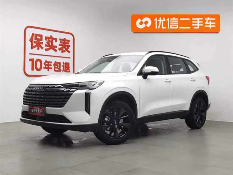 Haval H6 2024 1.5T Two-Wheel Drive Max