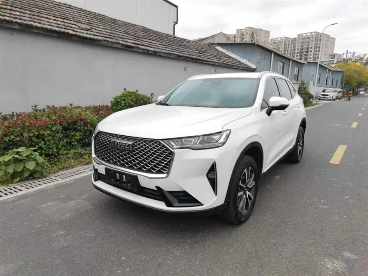 Haval H6 2022 Model Third Generation 1.5T Automatic Two-Wheel Drive Max