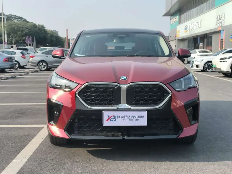 BMW X2 (Imported) 2024 Model sDrive25i M Sport Package