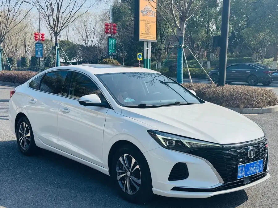 Yidong 2022 PLUS Blue Whale NE 1.4T GDI DCT Flagship Version