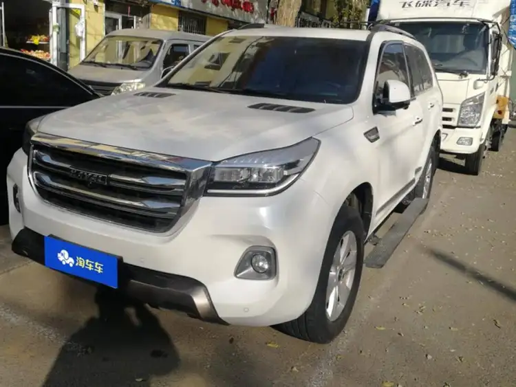 Haval H9 2020 Model 2.0T Gasoline 4WD Premium Edition 5-Seater
