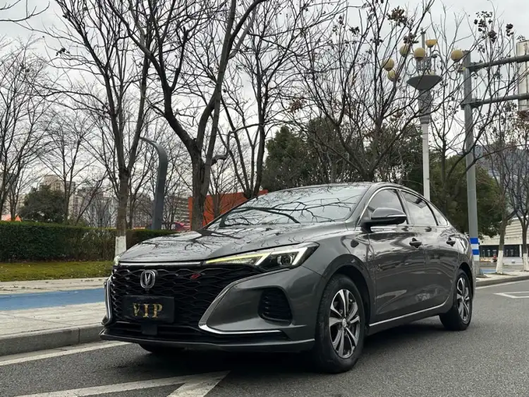 Yidong 2021 PLUS Blue Whale NE 1.4T GDI DCT Flagship