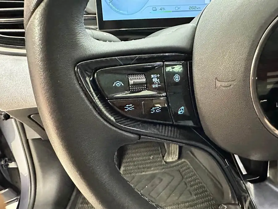 Sea Lion 2022 Model 700km Long Range RWD Version