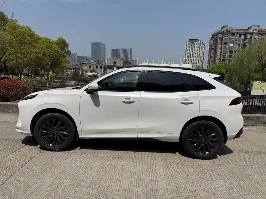 Fengxing T5 EVO 2021 1.5TD DCT Star Edition