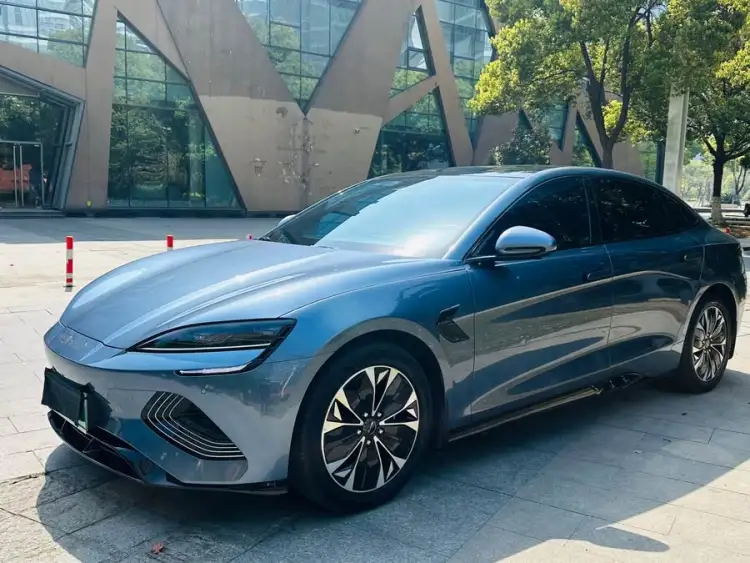 Sealion 2024 Glory Edition 550km Elite Model