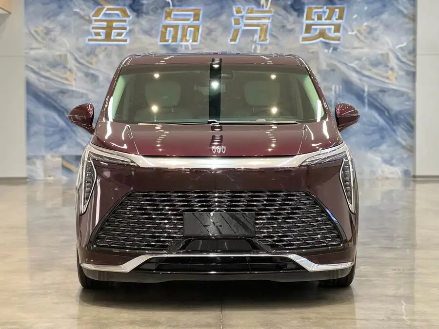 قرن 2023 طراز 2.0T إصدار يونس ستة مقاعد