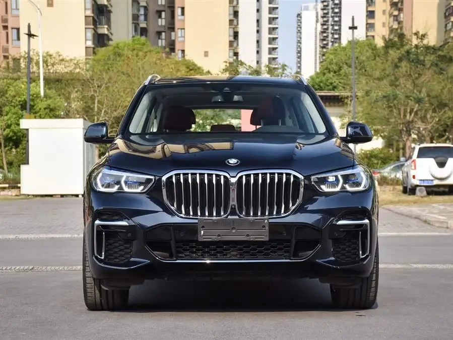 BMW X5 2022 xDrive 30Li M Sport Package