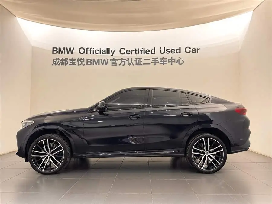 BMW X6 2022 xDrive40i Luxury M Sport Package