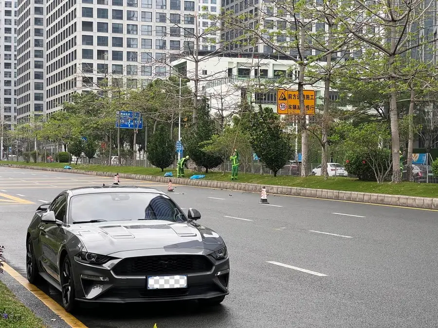 ماستنج 2021 2.3T إيكوبوست إصدار الظل الأسود الخاص