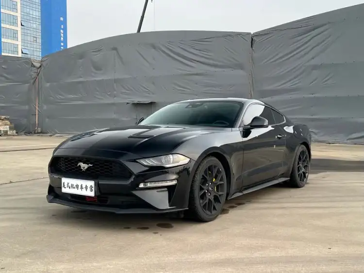 2020 Ford Mustang 2.3L EcoBoost Black Shadow Special Edition