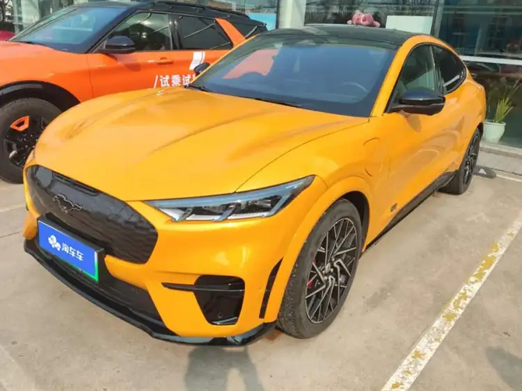 Ford Mustang 2024 GT Storm Edition