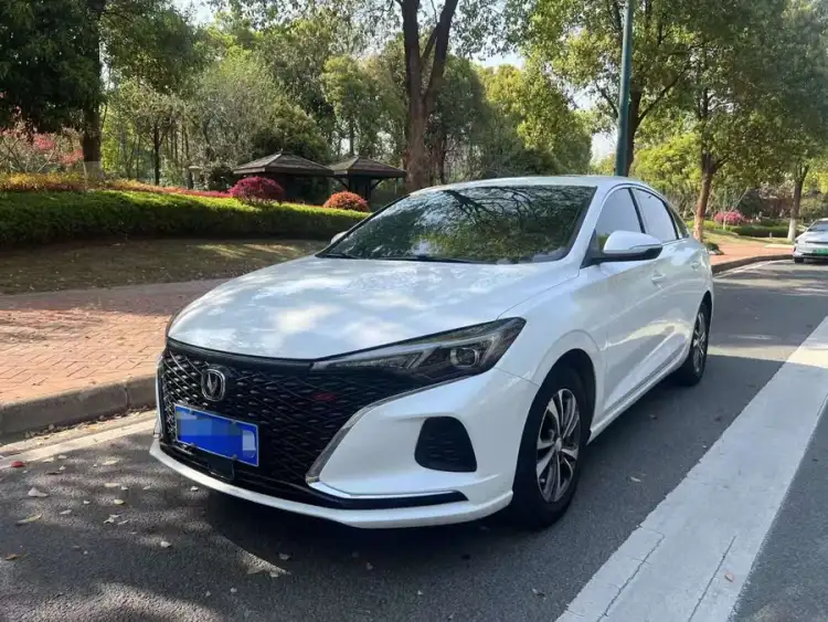 Yidong 2021 Model PLUS Blue Whale NE 1.4T GDI DCT Premium Edition