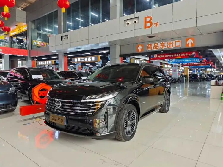 Tanlu 2024 Model 380VC-TURBO Four-Wheel Drive Intelligent Driving Version 6-Seater