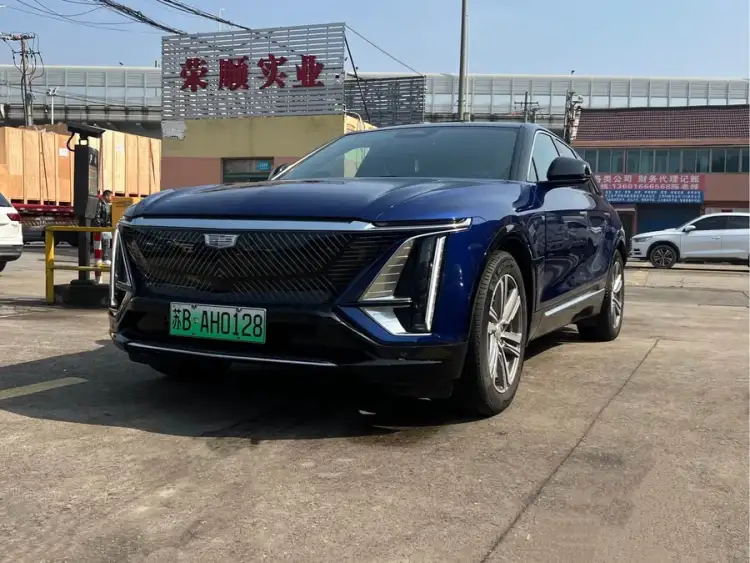 IQ RY歌 2022 Model Rear-wheel Drive Long Range Premium Edition