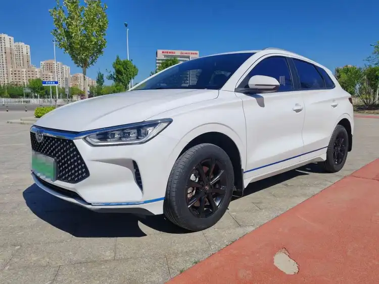 BYD e2 2021 Luxury Version
