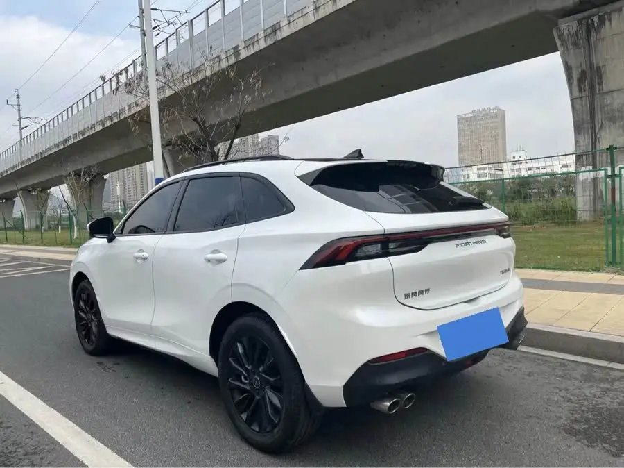 Fengxing T5 EVO 2021 1.5TD DCT Star Edition