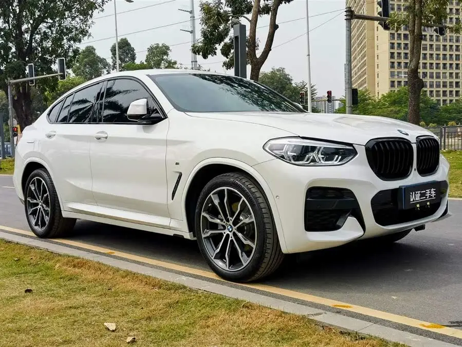 BMW X4 2021 xDrive 25i M Sport Blackout Package